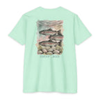 The Rainbow Trout