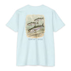 The Speckled Trout